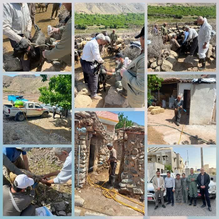 اردو جهادی دامپزشکی در مناطق عشایری استان قزوین