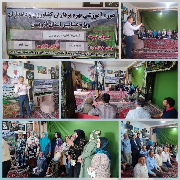 برگزاری کارگاه شناسایی و برداشت گیاهان دارویی مرتعی