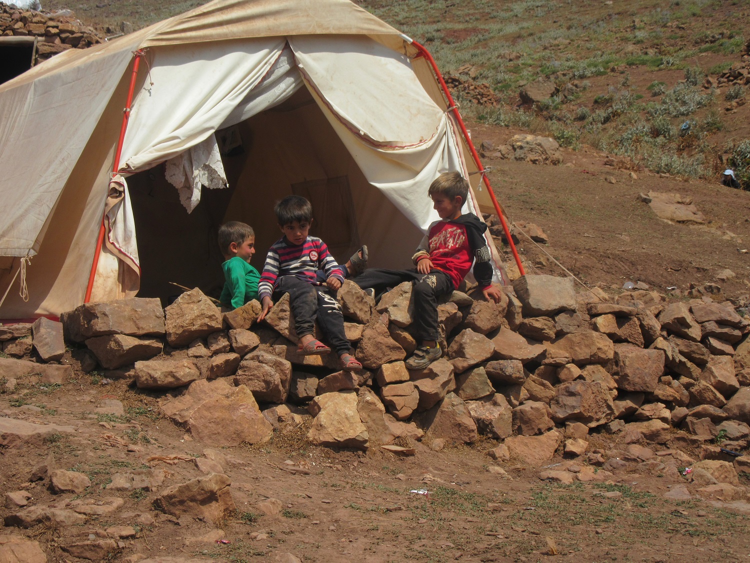 سه هزار و ۵۷۵ تن محصولات عشایری در قزوین تولید شد