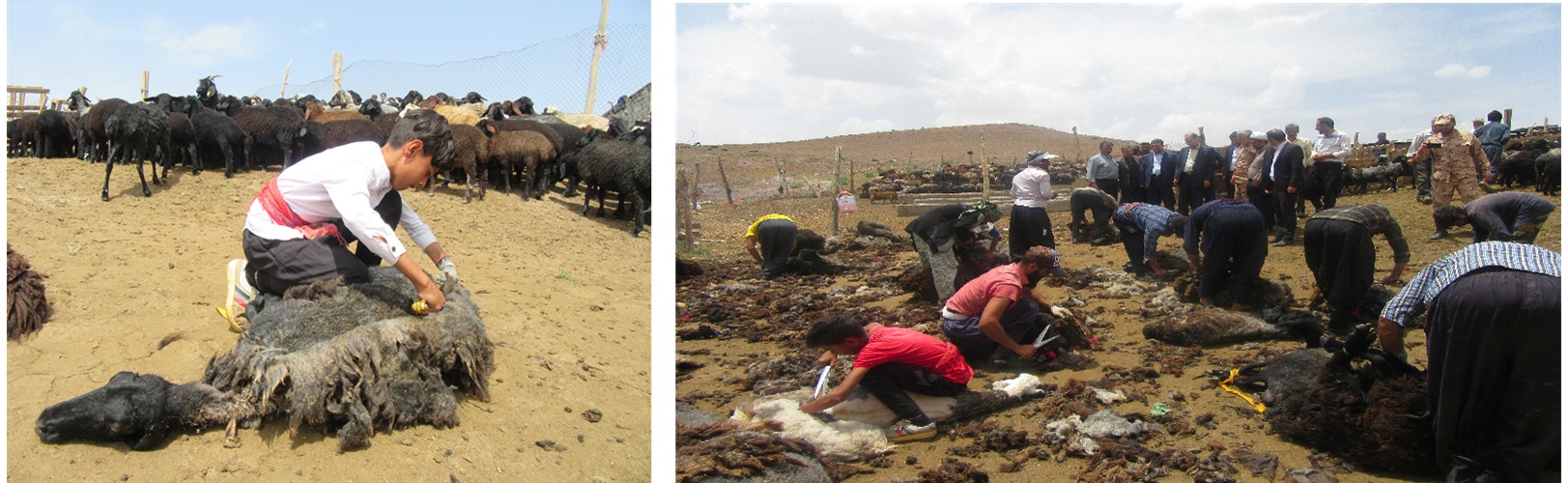 ثبت ۲ رویداد گردشگری بوئین‌زهرا در تقویم ملی