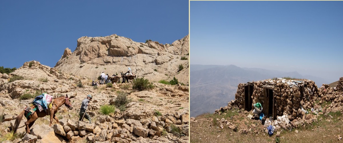 آغاز کوچ پاییزه ۲۳۰۰ خانوار عشایری استان قزوین