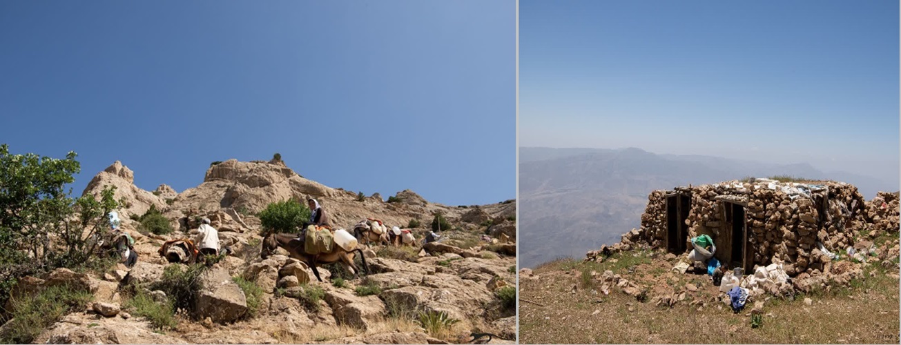 شناسایی ۳۳۰ منطقه عشایری در قزوین