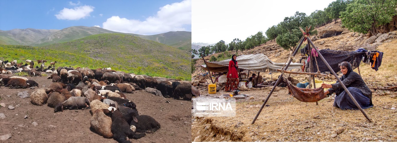 بیش از سه هزار تن محصولات عشایری در قزوین تولید شد