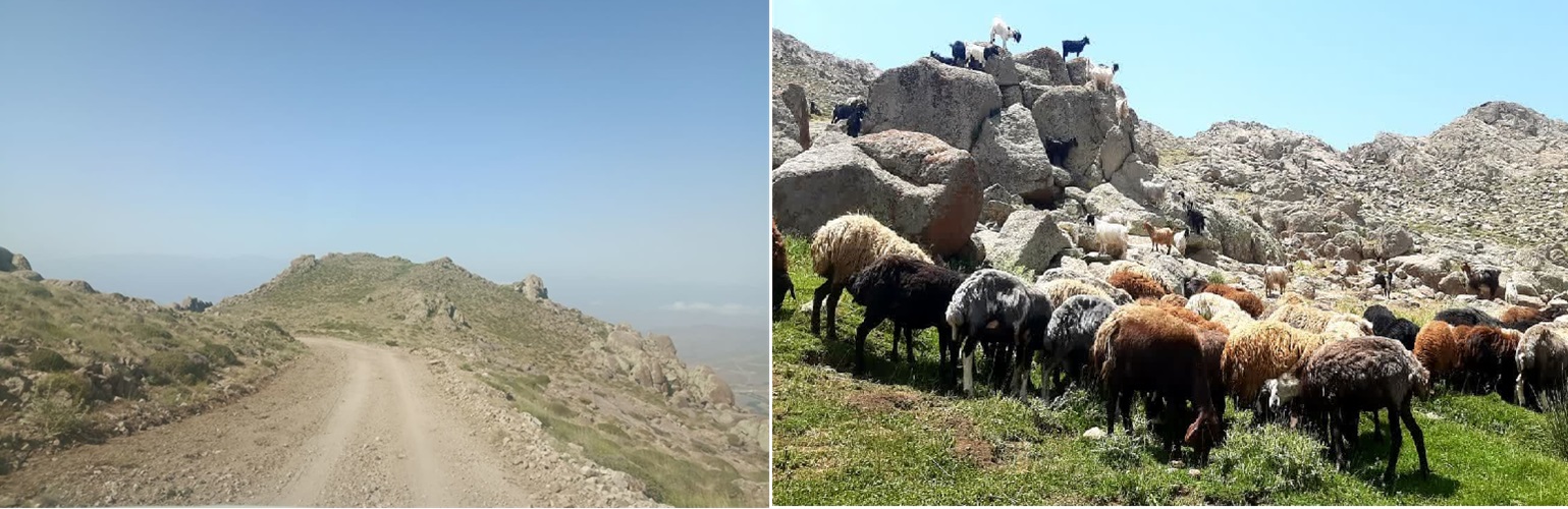 آغاز عملیات اجرای ایل‌راه شامدشت قزوین