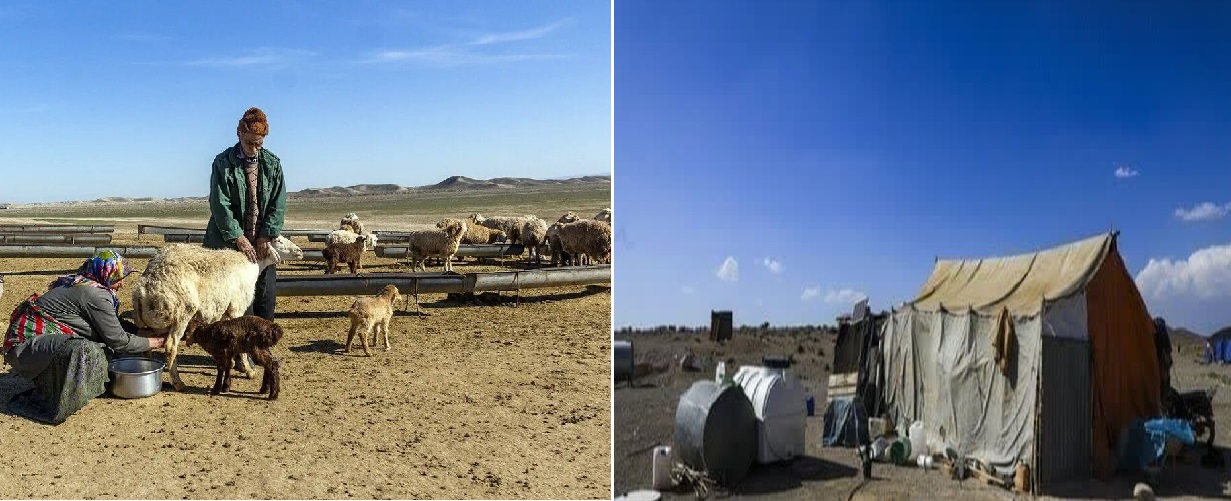 تخصیص ۳۵۰ میلیارد ریال اعتبار برای اشتغالزایی عشایر قزوین