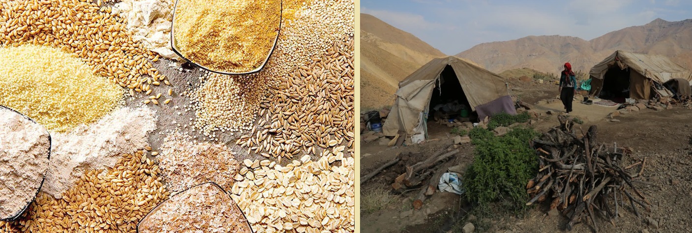 پرداخت تسهیلات ۱۲۰ میلیارد ریالی برای خرید نهاده دامی به عشایر قزوین