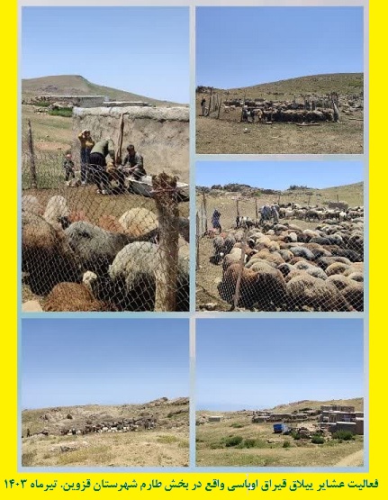 اداره امور عشایر استان قزوین