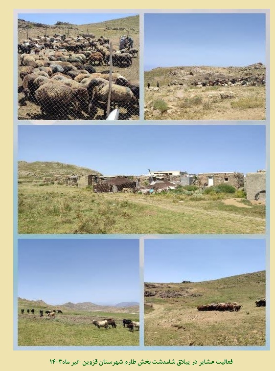 اداره امور عشایر استان قزوین