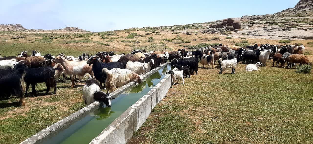 اداره امور عشایر استان قزوین